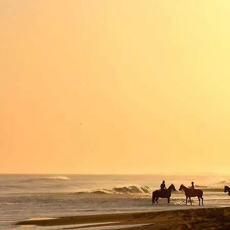 Pet Friendly In With Wifi * Sarbinowo