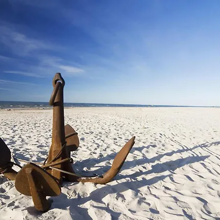 Pet Friendly In With Wifi *