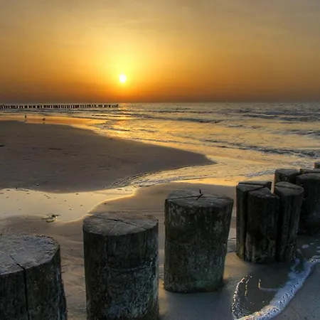 Pet Friendly In With Wifi