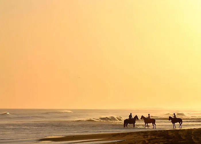 Pet Friendly In With Wifi * Sarbinowo