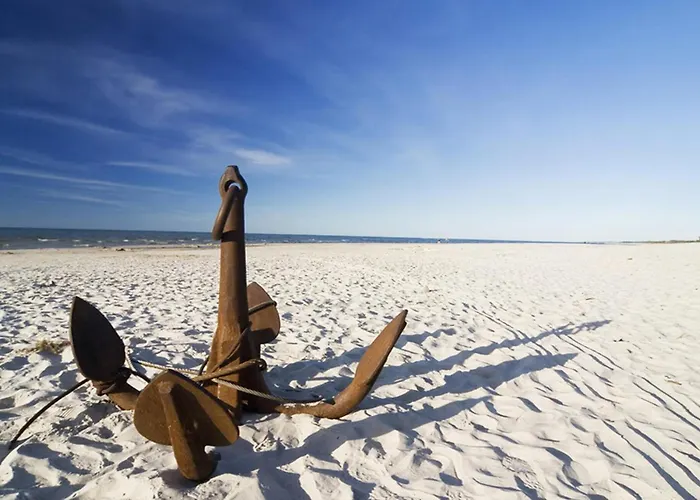 Pet Friendly In With Wifi *