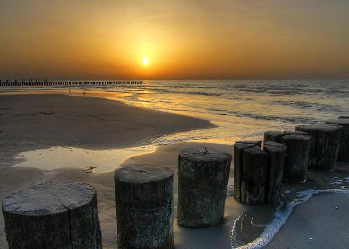 Pet Friendly In With Wifi